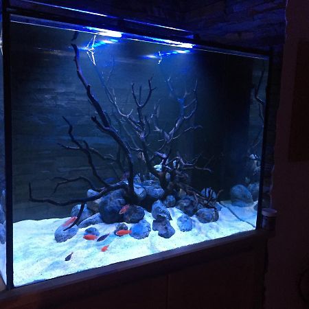 Апартаменты Aquarium House Сесимбра Экстерьер фото