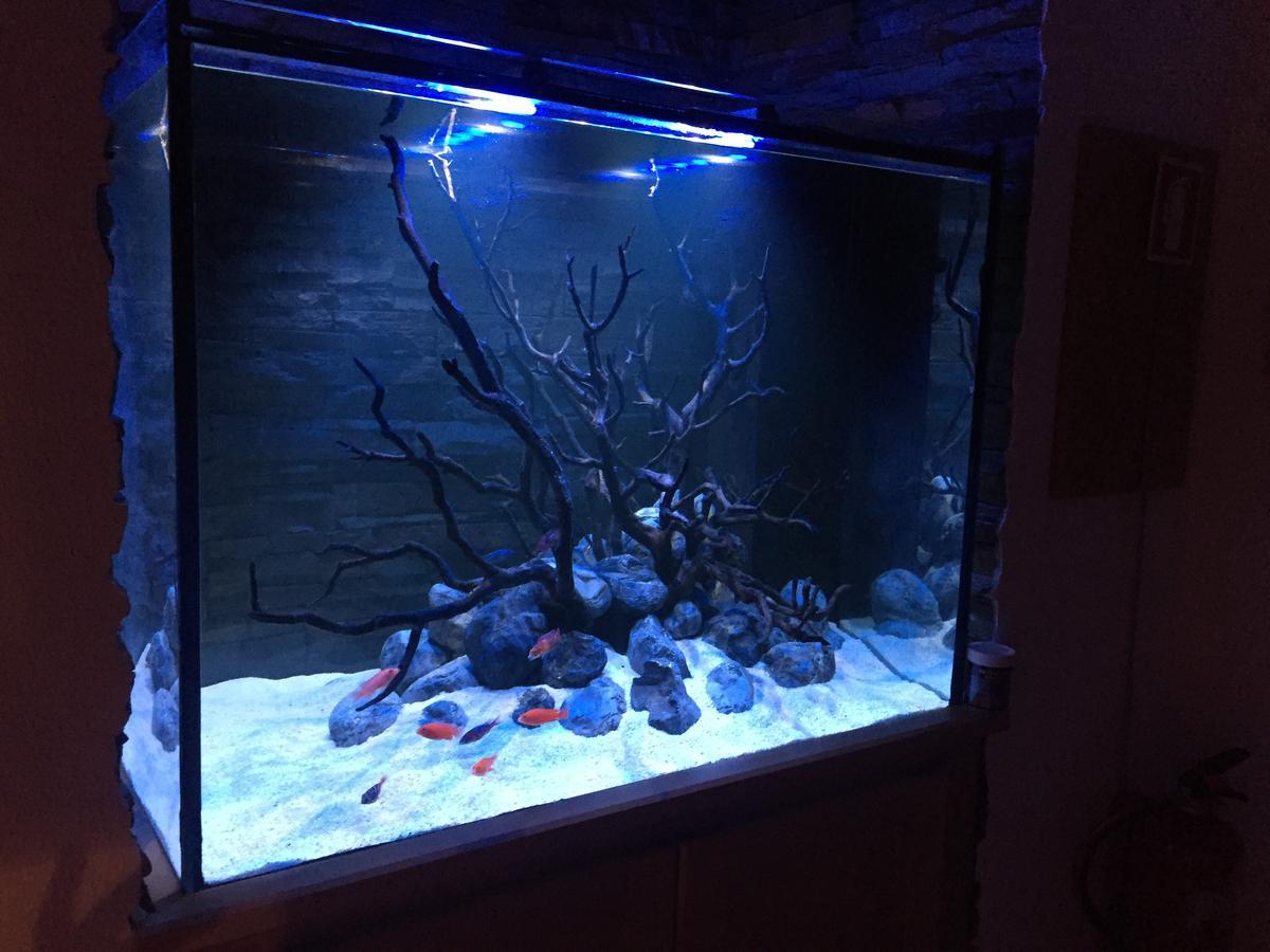 Апартаменты Aquarium House Сесимбра Экстерьер фото